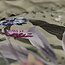 Dreamhouse Aurelie Green 200 × 220 - Duvet Cover