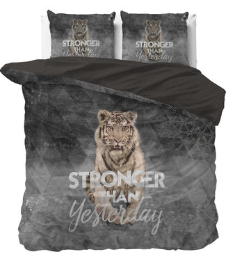 Sleeptime Stronger Grijs 240 x 200/220