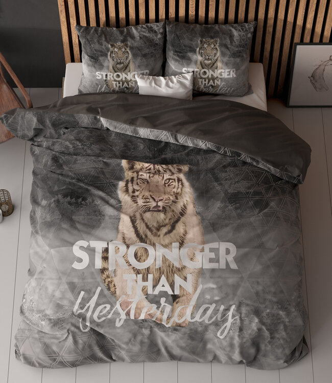 Stronger Grijs 240 x 200/220