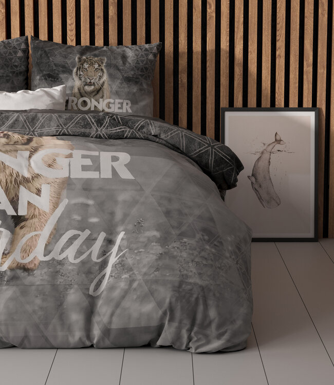 Stronger Grijs 240 x 200/220