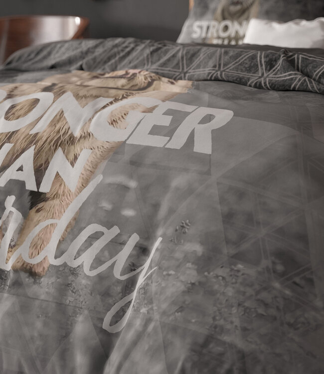 Stronger Grijs 240 x 200/220