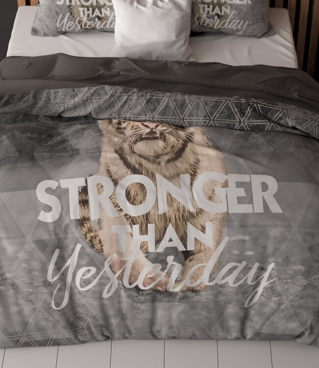 Stronger Grijs 240 x 200/220