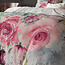 Desire Multi 240 x 200/220