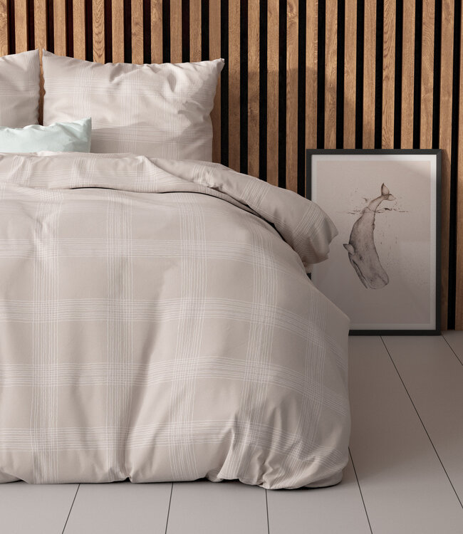 Mirela Zand 240 x 220