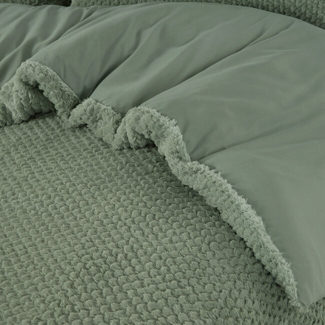 Bont Teddy Groen 240 x 200/220