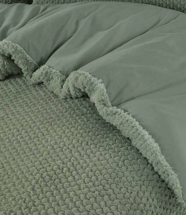 Bont Teddy Groen 240 x 200/220