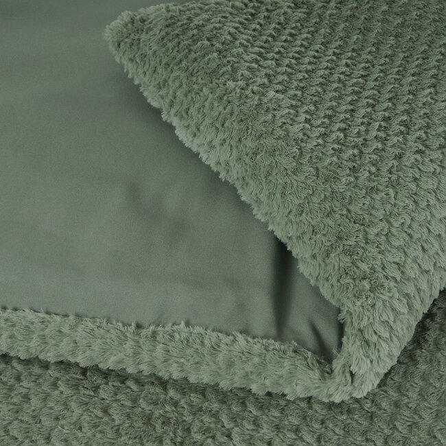 Bont Teddy Groen 240 x 200/220