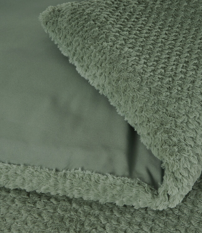 Bont Teddy Groen 240 x 200/220