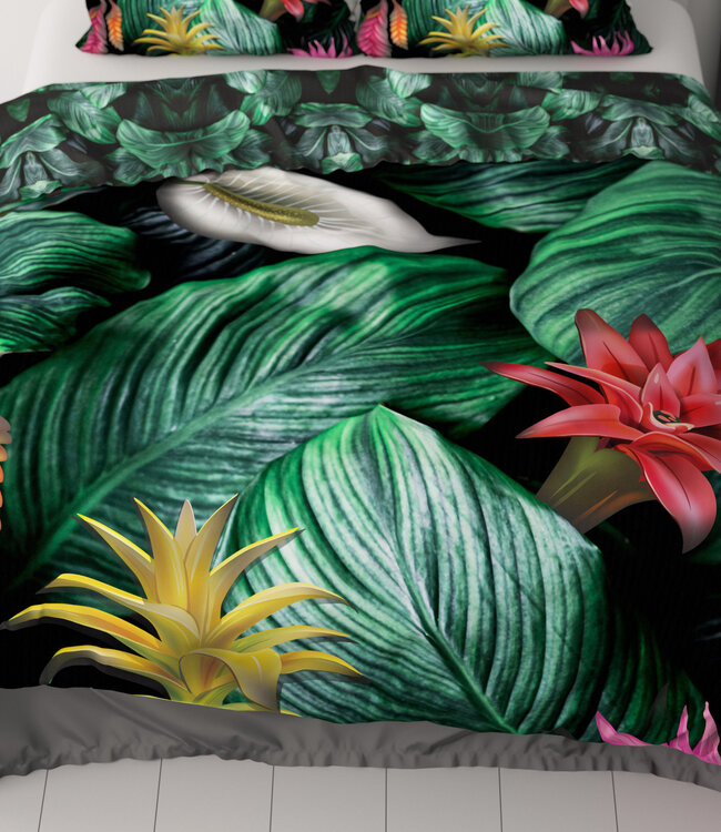 Cintia Groen 240 x 200/220