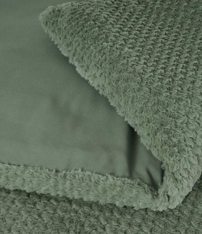 Bont Teddy Groen 240 x 200/220