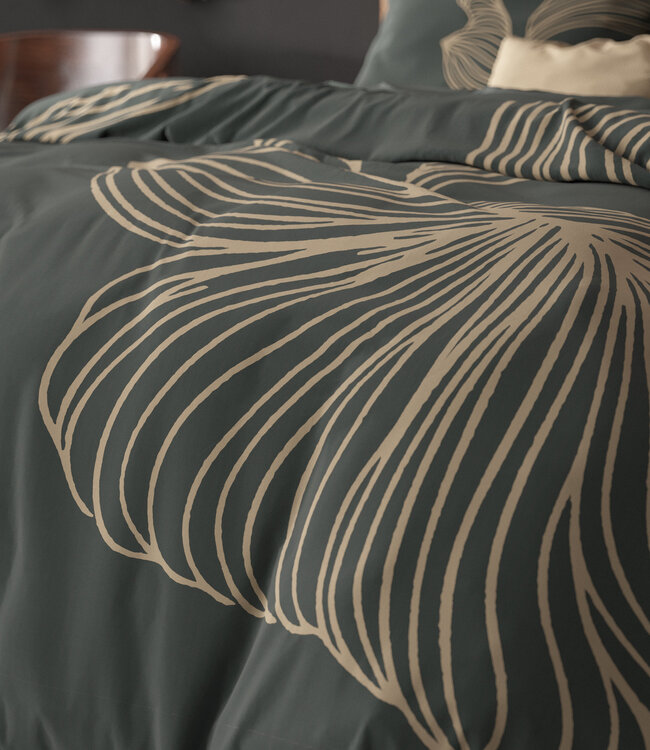 Blair Grijs 240 x 200/220