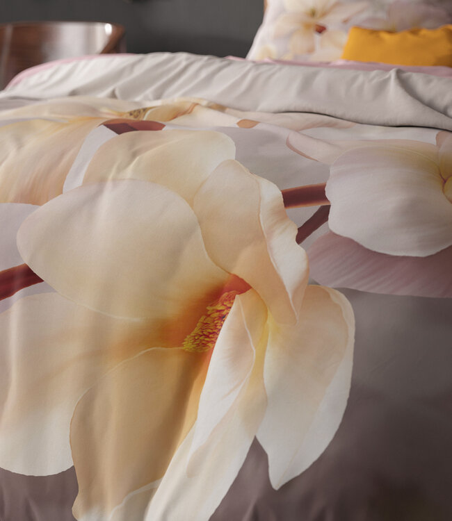 Isaline Multi 240 x 200/220