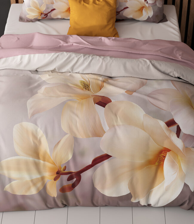 Isaline Multi 240 x 200/220