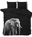 Olifant Zwart 240 x 200/220