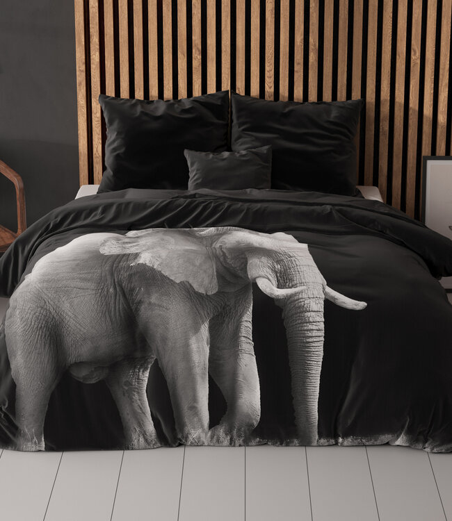 Olifant Zwart 240 x 200/220
