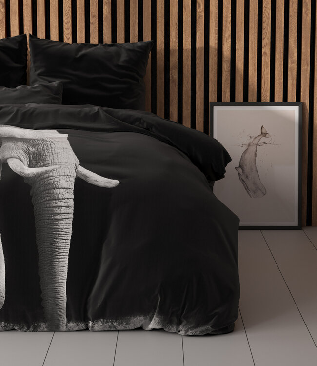 Olifant Zwart 240 x 200/220