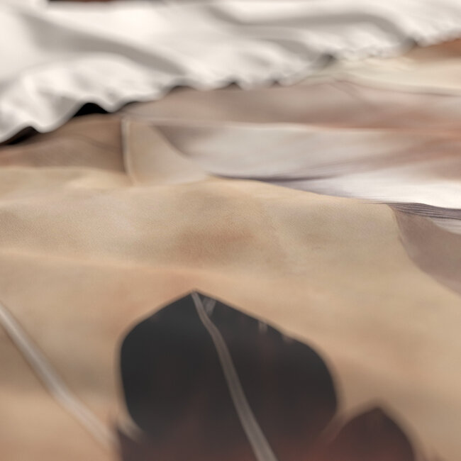 Feathura taupe 240 x 200/220