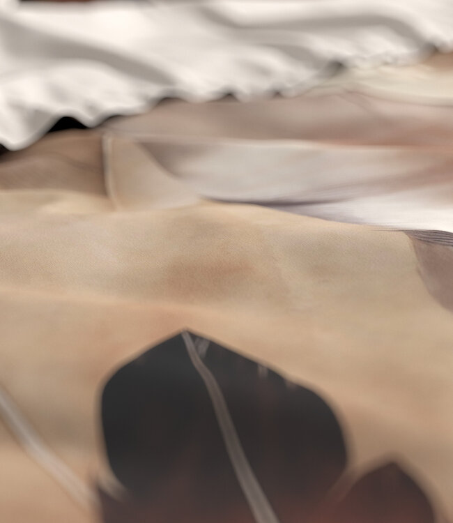 Feathura taupe 240 x 200/220