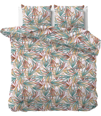 Dreamhouse Aster Multi 240 x 220