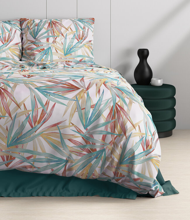 Aster Multi 240 x 220