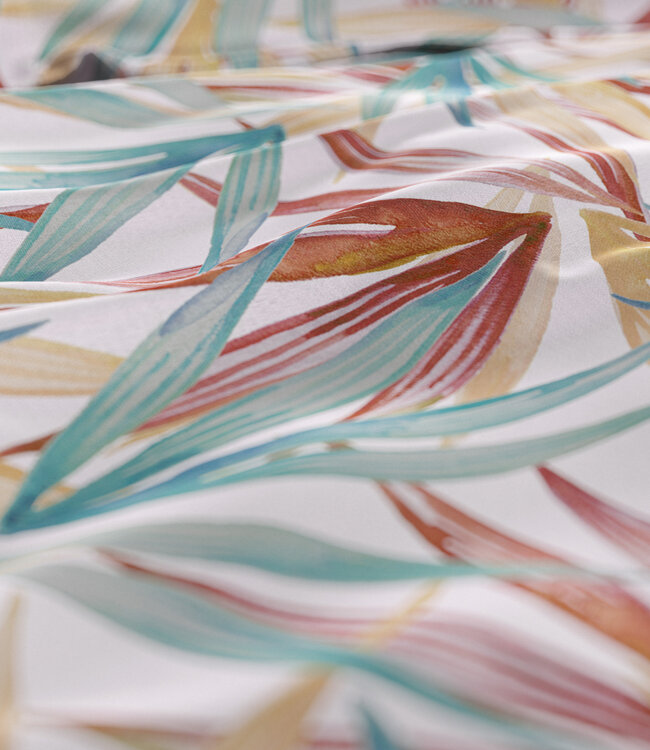 Aster Multi 240 x 220