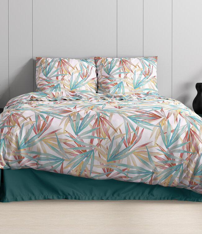 Aster Multi 240 x 220