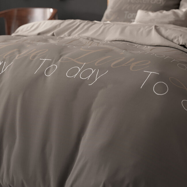 Live Today Taupe 200 x 220