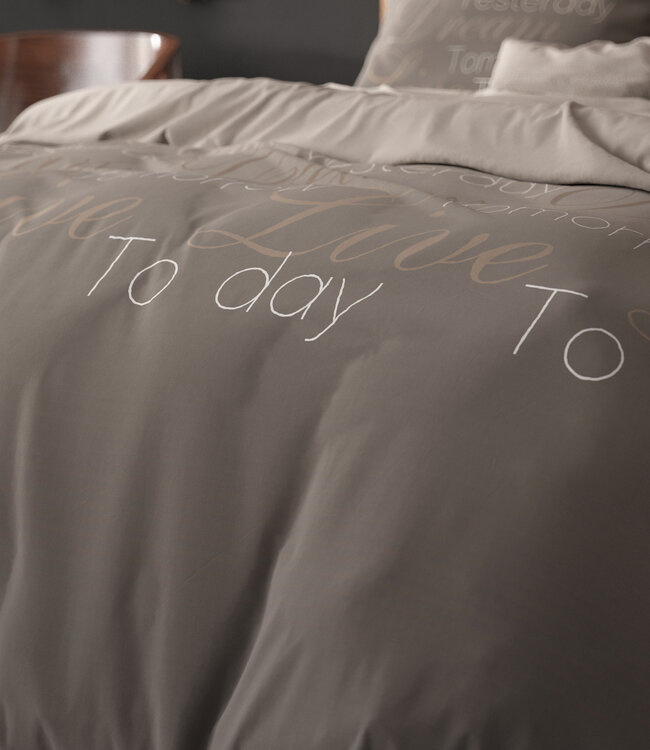 Live Today Taupe 200 x 220