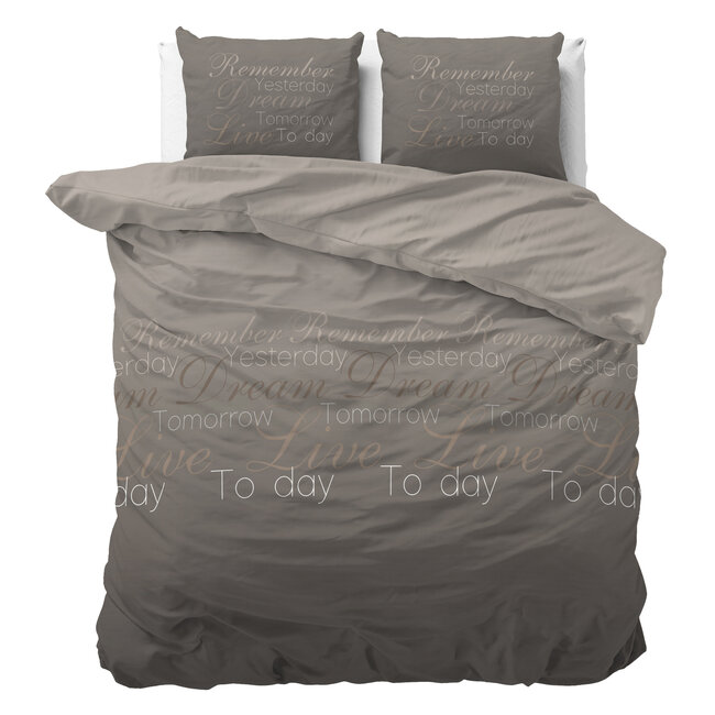 Live Today Taupe 200 x 220
