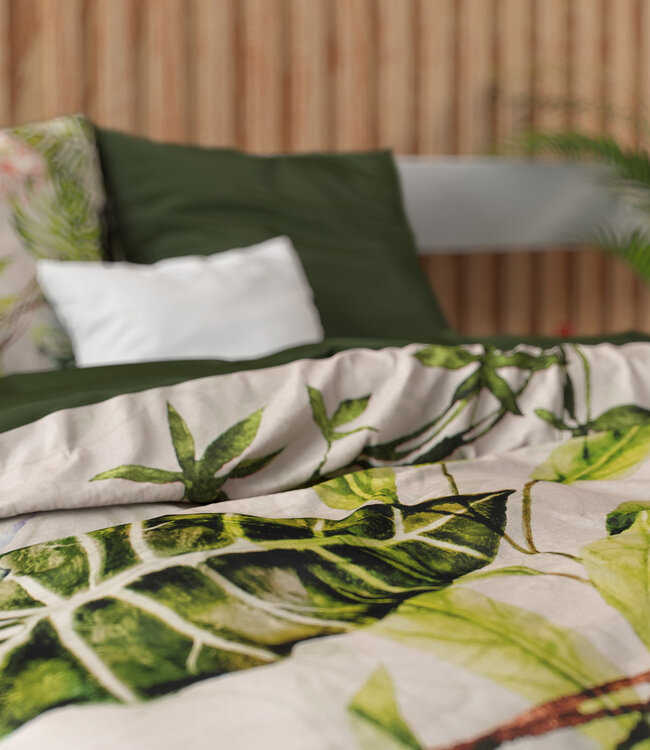 Destiny Wit 240 x 220