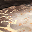 Inferno taupe 240 x 220