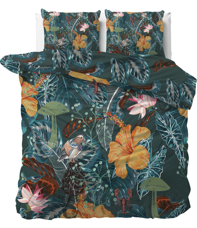 Calanthe Groen 240 x 220