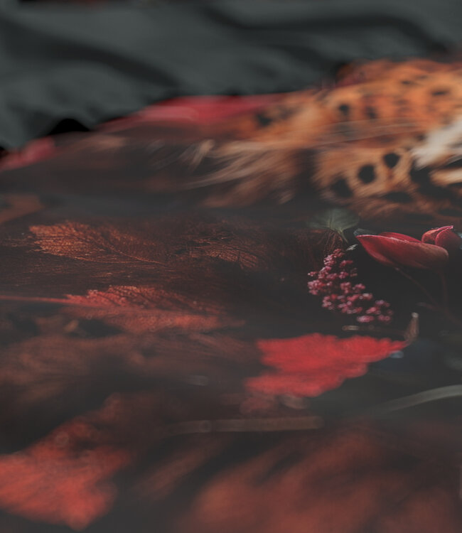 Leopardo Multi 200 x 200/220