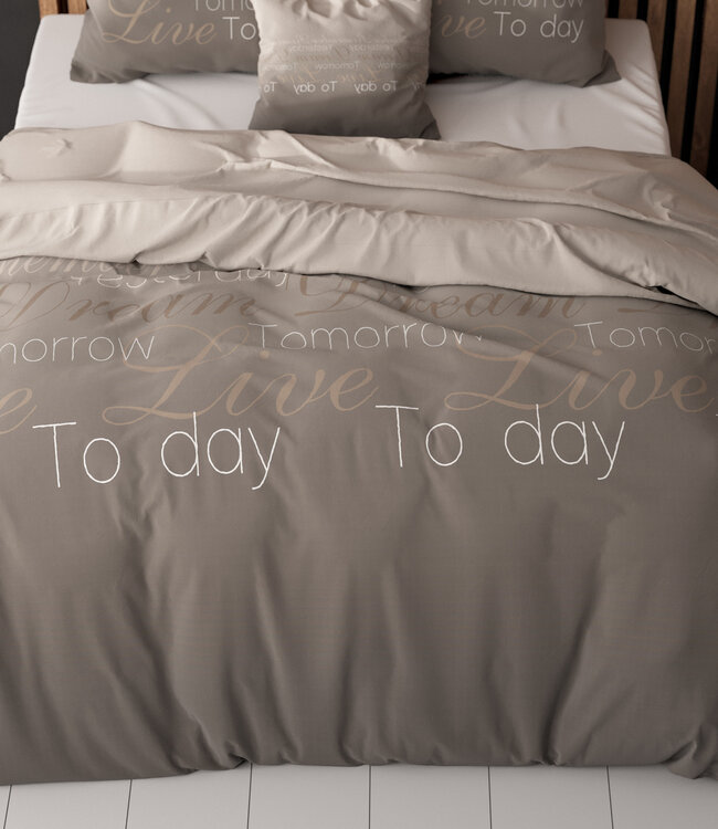 Live Today taupe 240 x 220