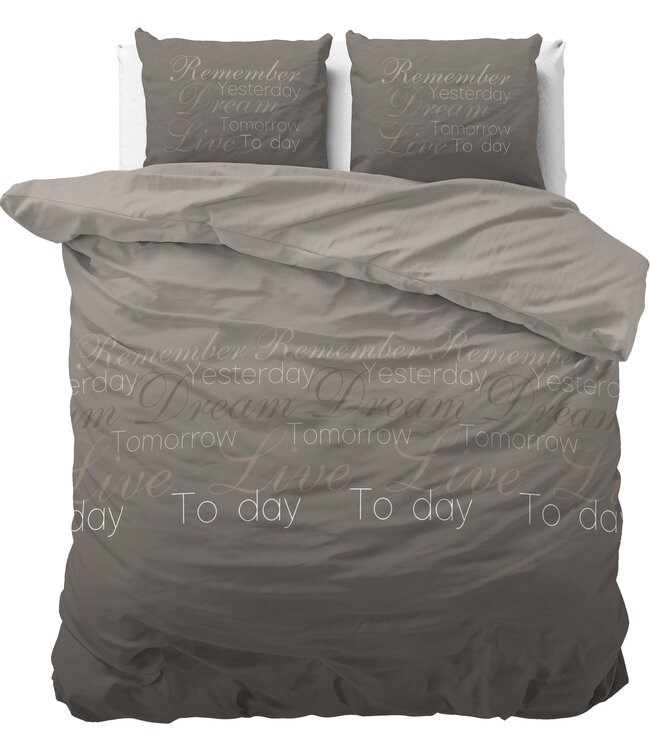 Live Today taupe 240 x 220