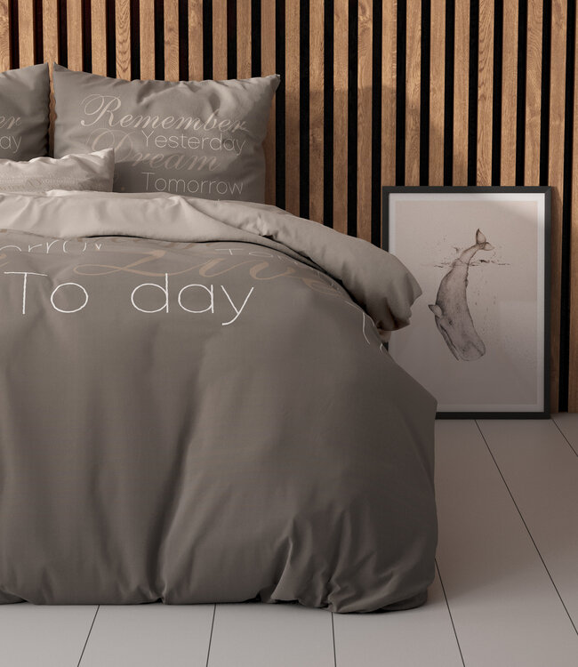 Live Today taupe 240 x 220