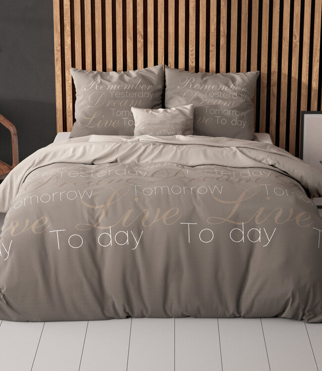 Live Today taupe 240 x 220