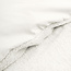 Teddy Wit 200 x 220