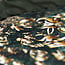 Dreamhouse Nairobigrün 140 × 220 - Bettbezug