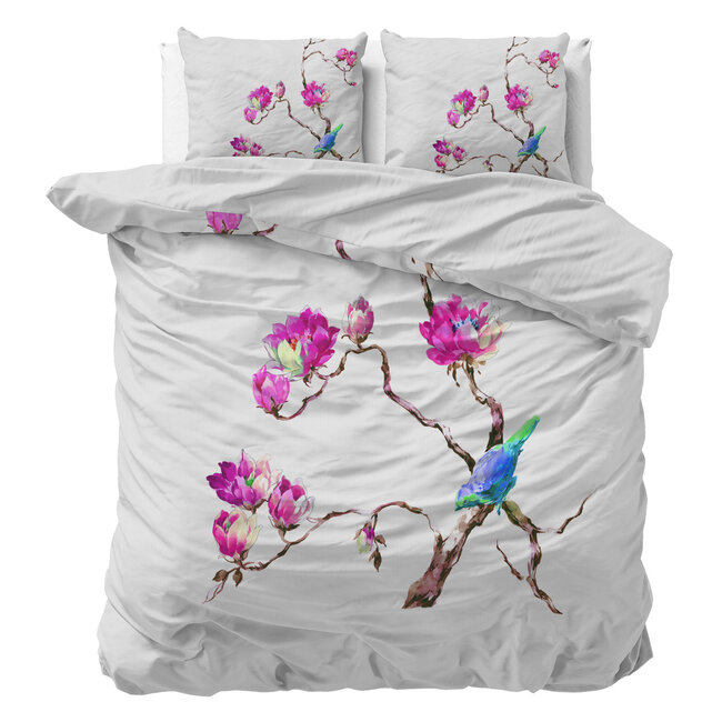Magnolia's Wit 240 x 200/220