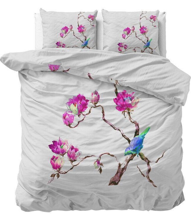 Magnolia's Wit 240 x 200/220