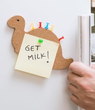 Mad Monkey Magnetisch Prikbord van Kurk - Dinosaurussen