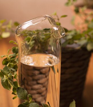 Mad Monkey Plant Buddy - Design gieter van glas