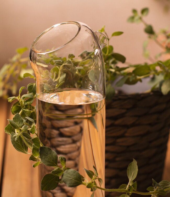 Plant Buddy - Design gieter van glas