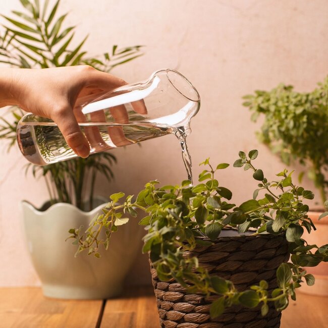 Plant Buddy - Design gieter van glas