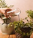 Plant Buddy - Design gieter van glas