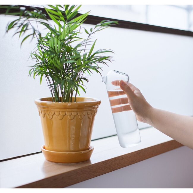 Plant Buddy - Design gieter van glas