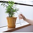Plant Buddy - Design gieter van glas