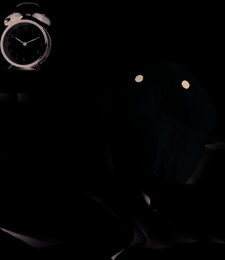 Mad Monkey Mad Monkey - Warmtekussen "Willy the Warmer"