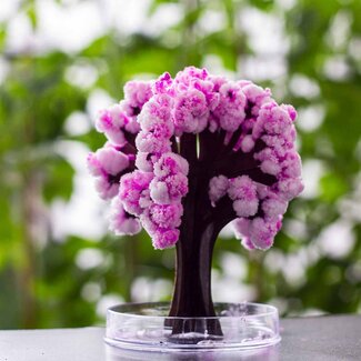 Mad Monkey Mad Monkey - Magische Sakura fascinerende boom om te knutselen